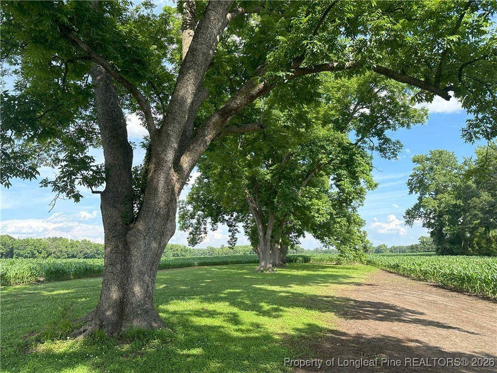 Lumberton, NC Ready-to-Build Lot