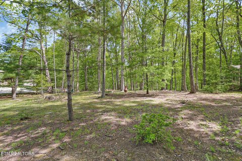 LAND - Fairfield Glade, TN