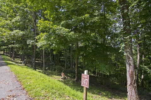Land in Gated Mountain Community