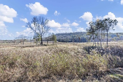 Land Near Ozark National Forest