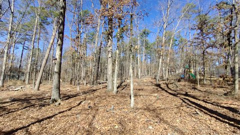 Vacant Lot in Hot Springs