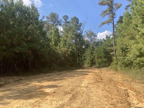 Land, Jackson, LA