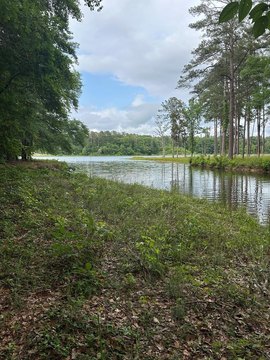 Eufaula Land with Lake Frontage