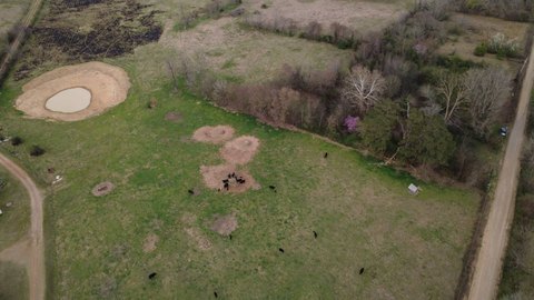 Acreage with Pond and Utilities