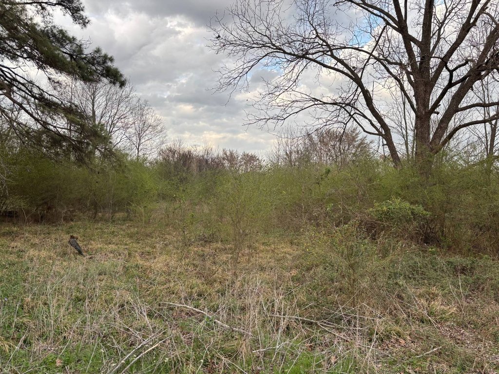 Picture 9