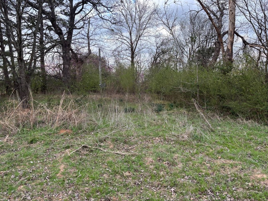 Picture 10