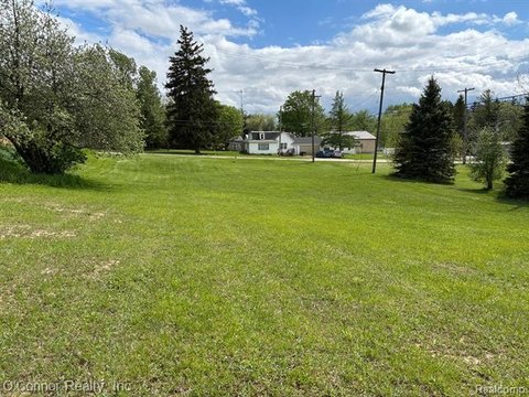 Oversized Lot in Carsonville