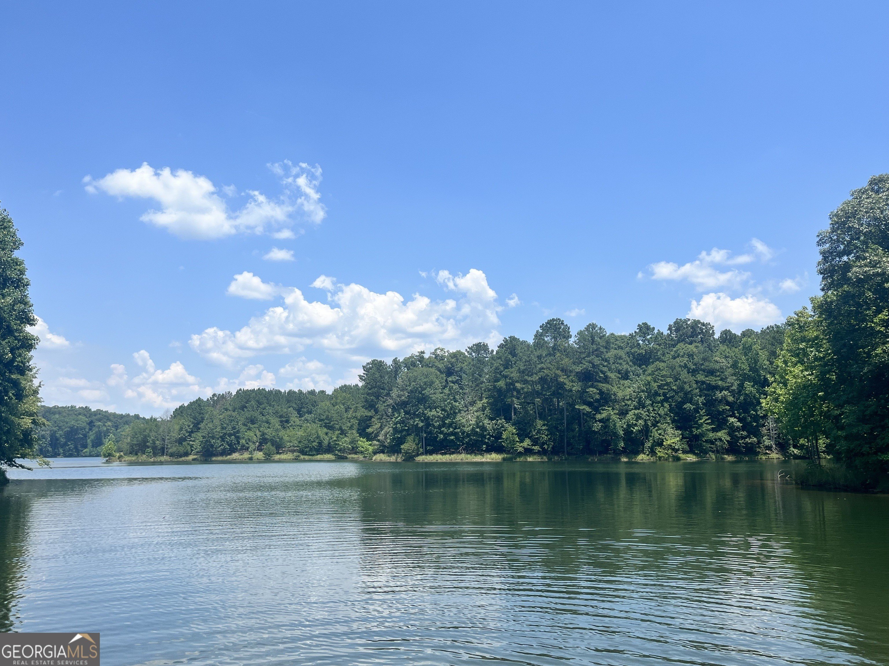 Gainesville Wooded Estate Lot