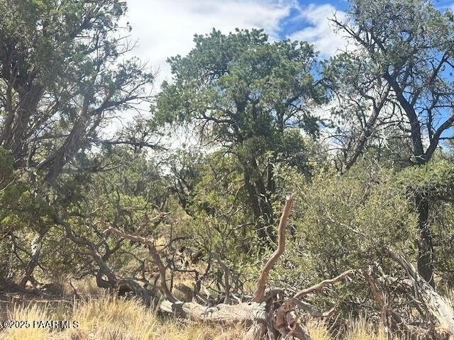 Remote Land Parcel in Seligman