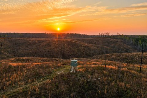 Recreation Timber Tract with Food Plot