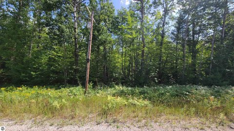 Vacant Lot/Land, Wolverine, MI