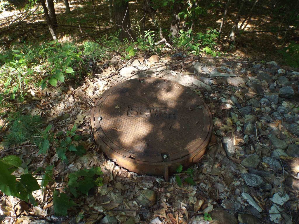 Picture 12