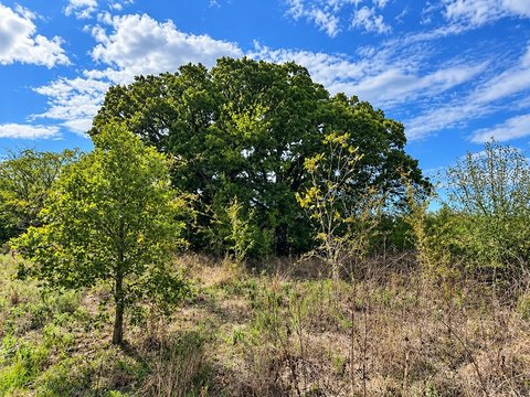 Residential Land with Road Frontage