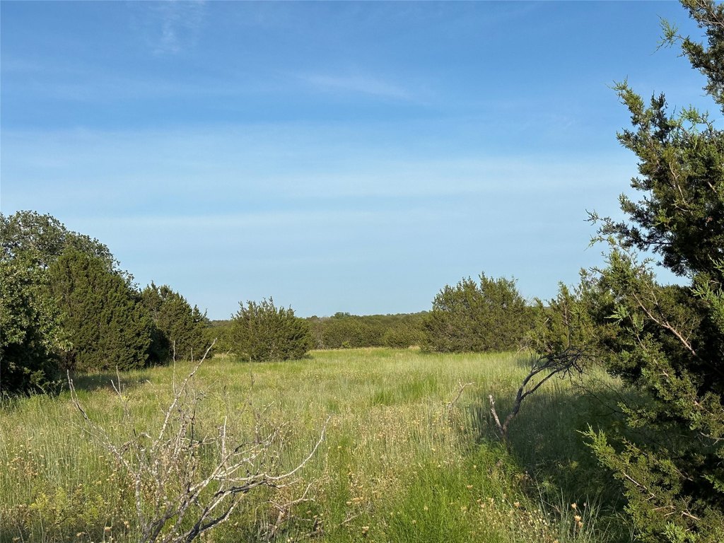 Picture 31