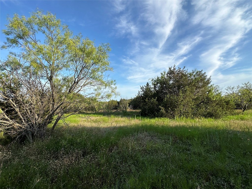 Picture 28