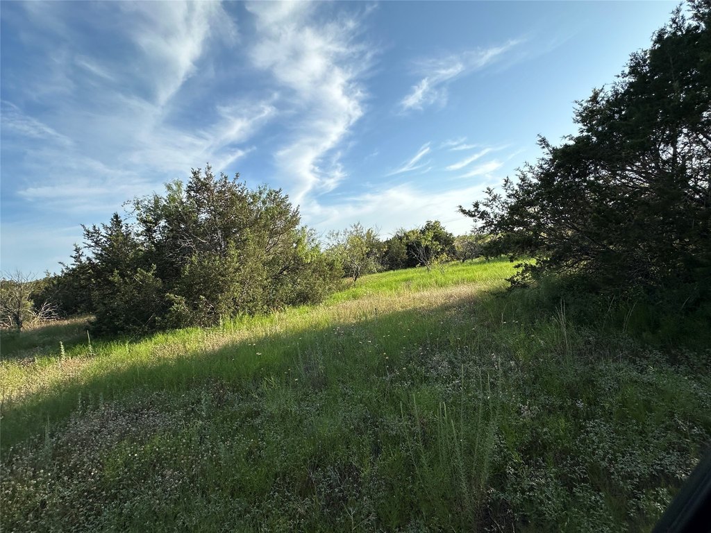 Picture 29