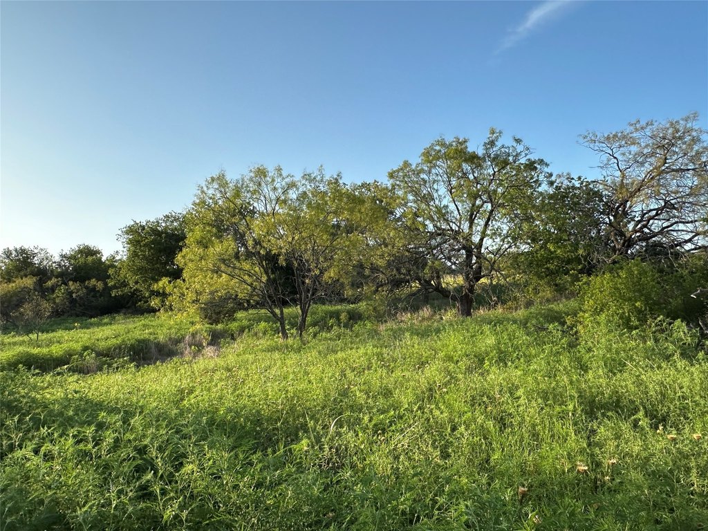 Picture 25