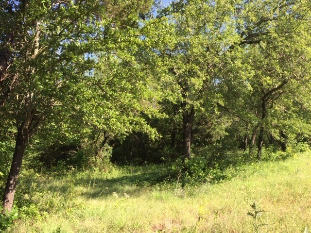 Picture 19