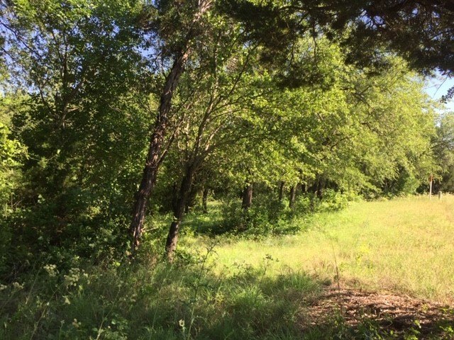Picture 25
