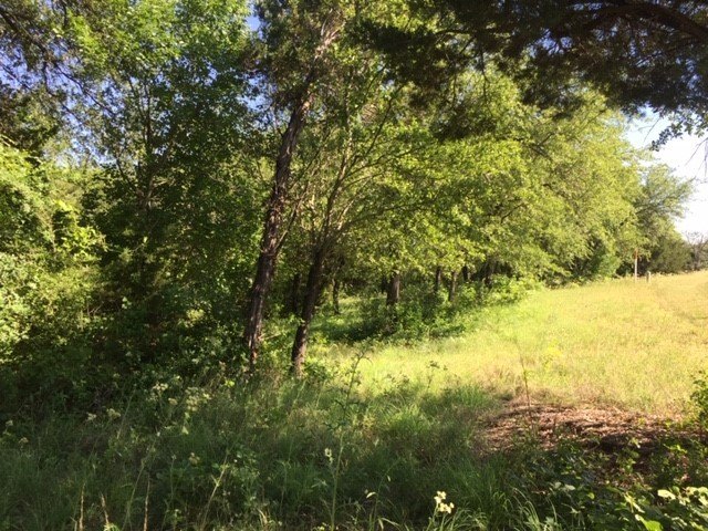 Picture 28