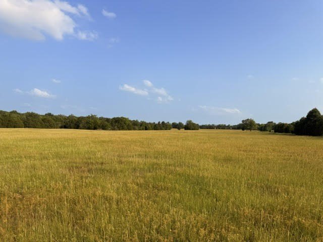 Picture 20