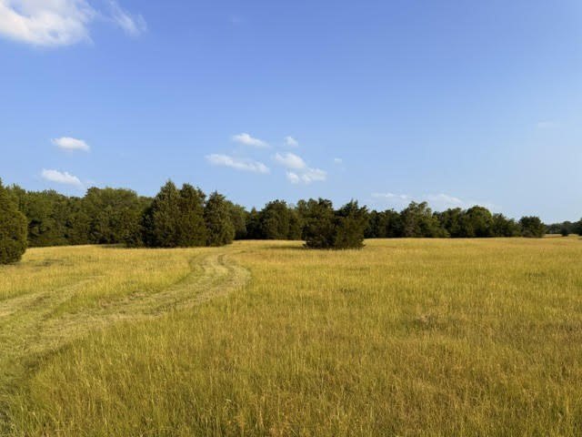Picture 4