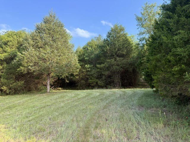 Picture 17
