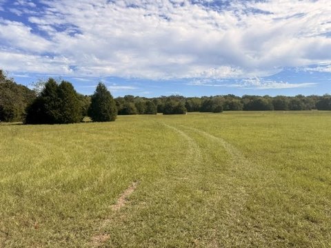 Agricultural Land with Pond