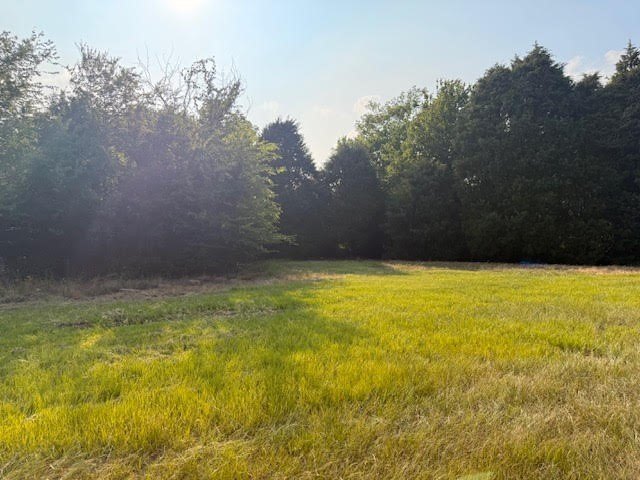 Picture 13