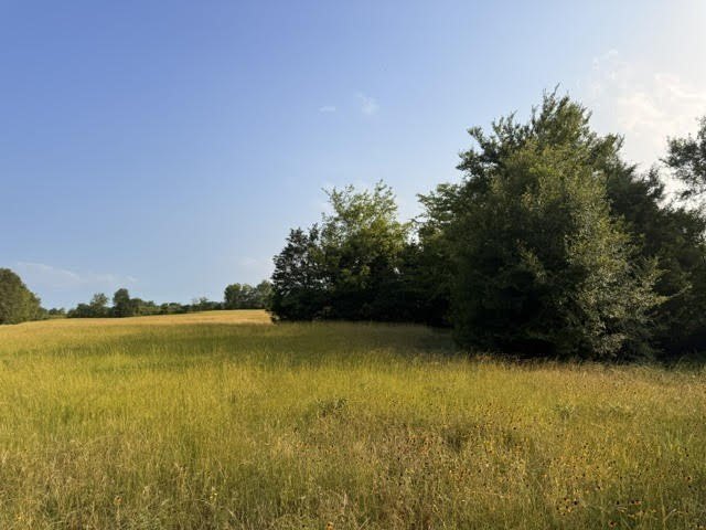Picture 22