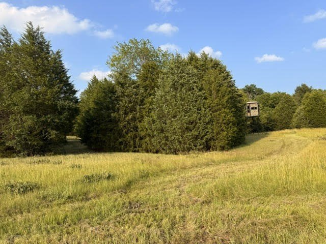 Picture 19