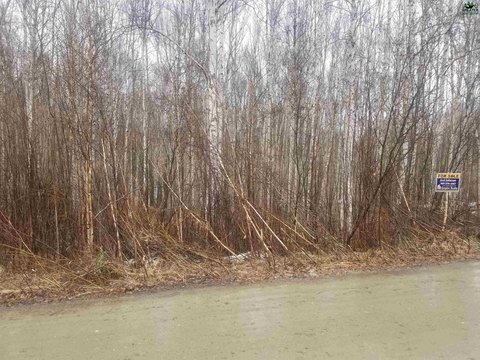 Fairbanks Land for Sale