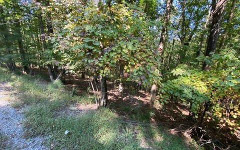 Mountain Resort Community Lot