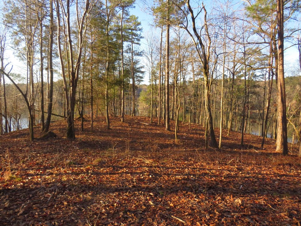 Picture 3