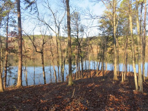 Waterfront Building Lot in Subdivision