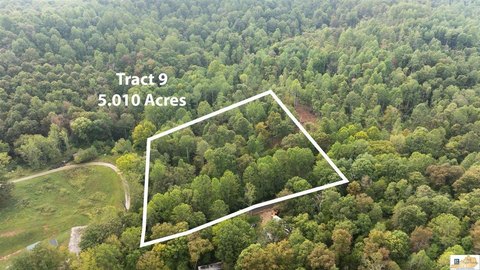 Bonnieville, KY Wooded Acreage