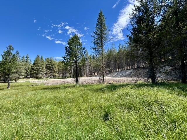 Picture 12