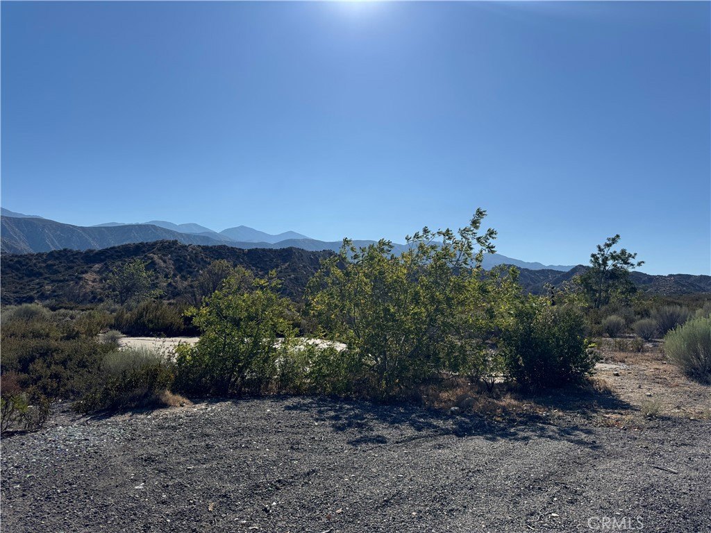 Picture 17