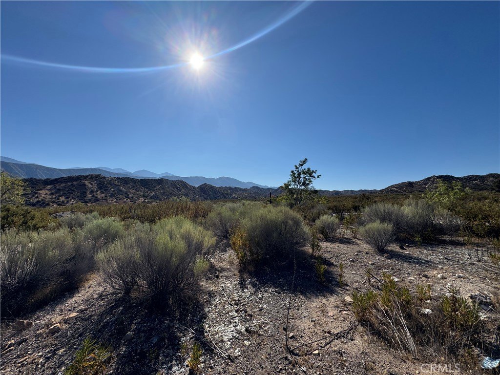 Picture 9