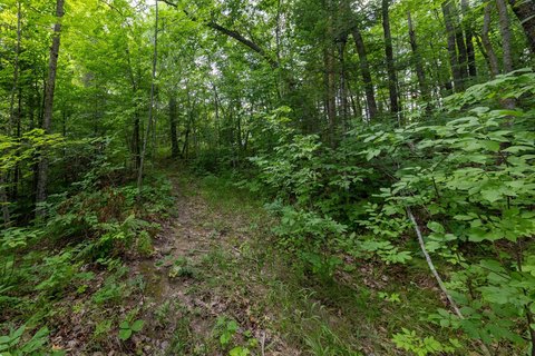 Land, Brainerd, MN