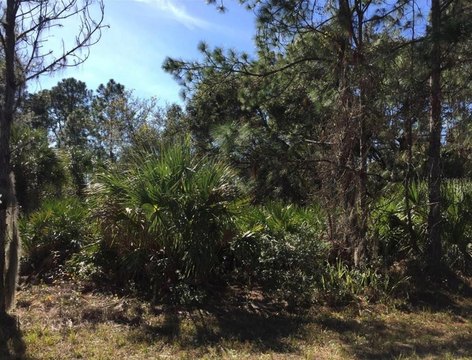 LAND - PORT CHARLOTTE, FL