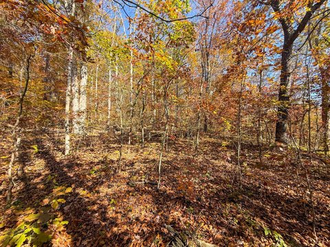 Meigs County Hunting/Recreational Land