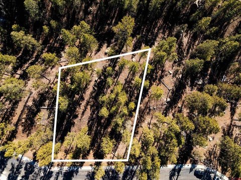 Durango Residential Land Opportunity