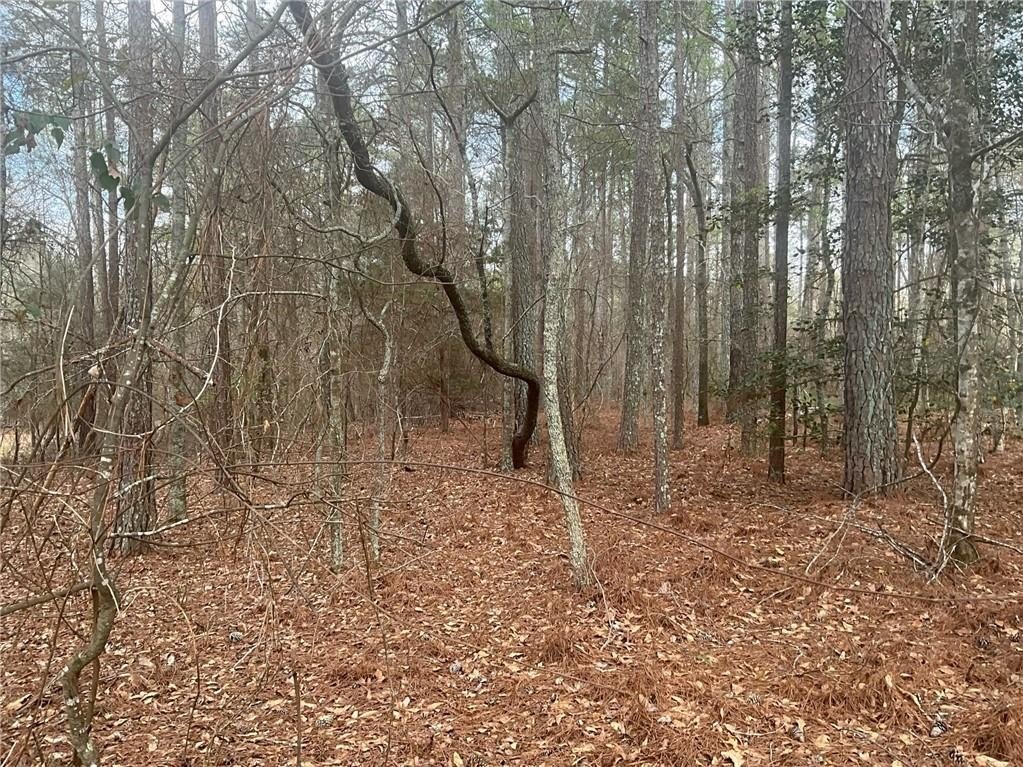 Picture 20
