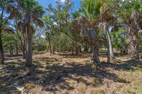 Land, Edisto Island, SC
