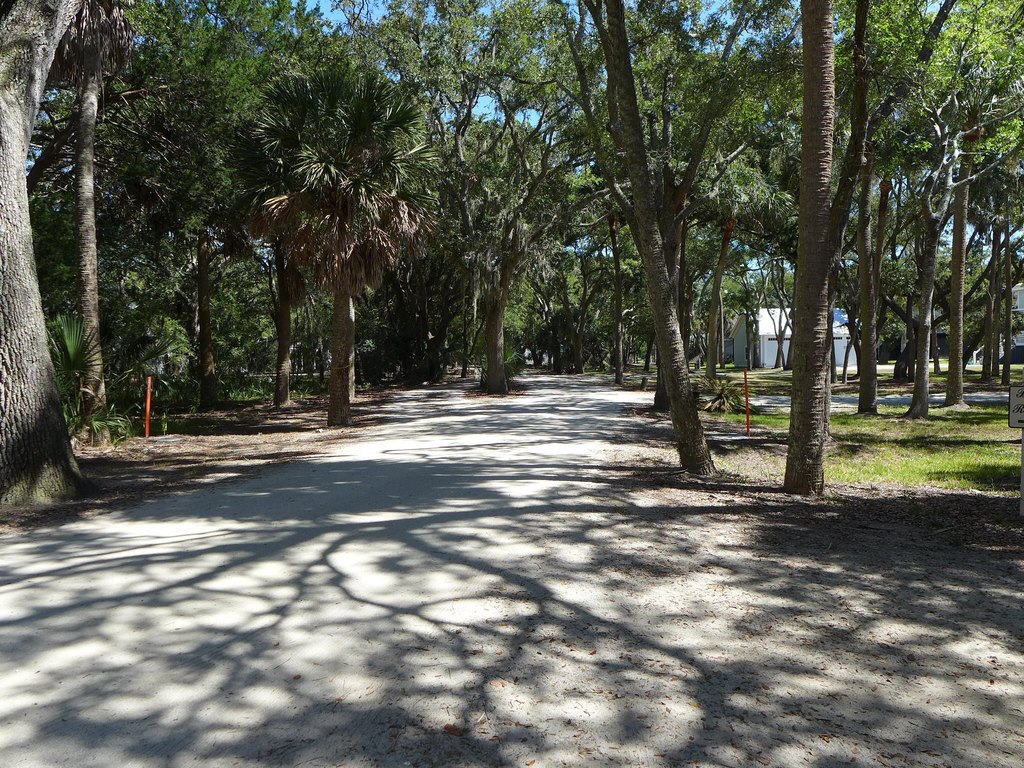 Picture 12
