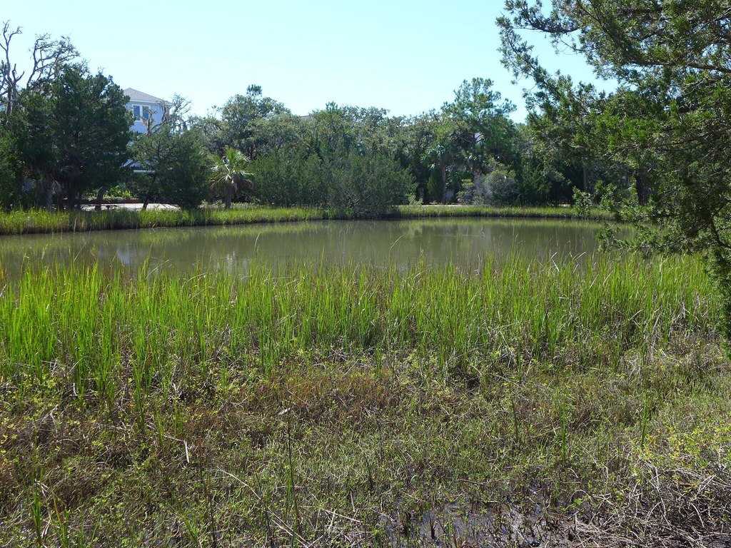Picture 8