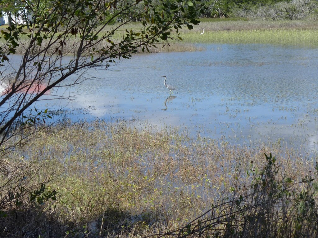 Picture 6