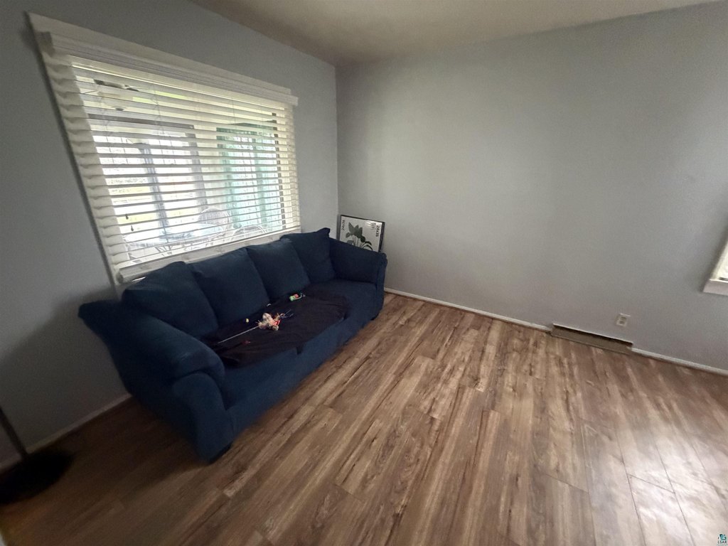 Picture 15