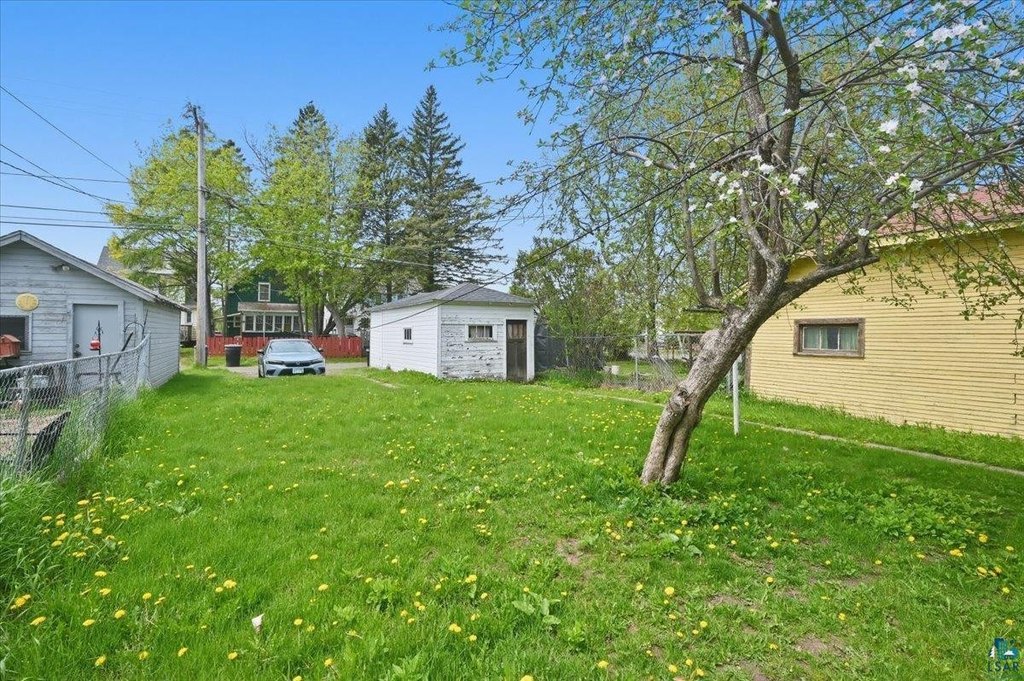 Picture 6